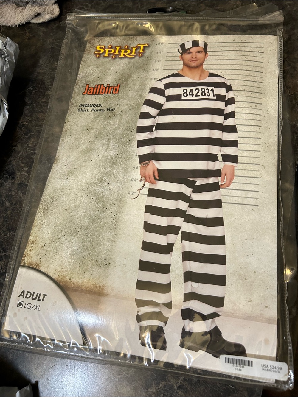 Spirit Black & White Striped Jailbird Costume
